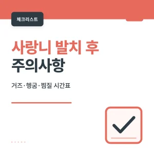 사랑니 발치 후 주의사항 썸네일